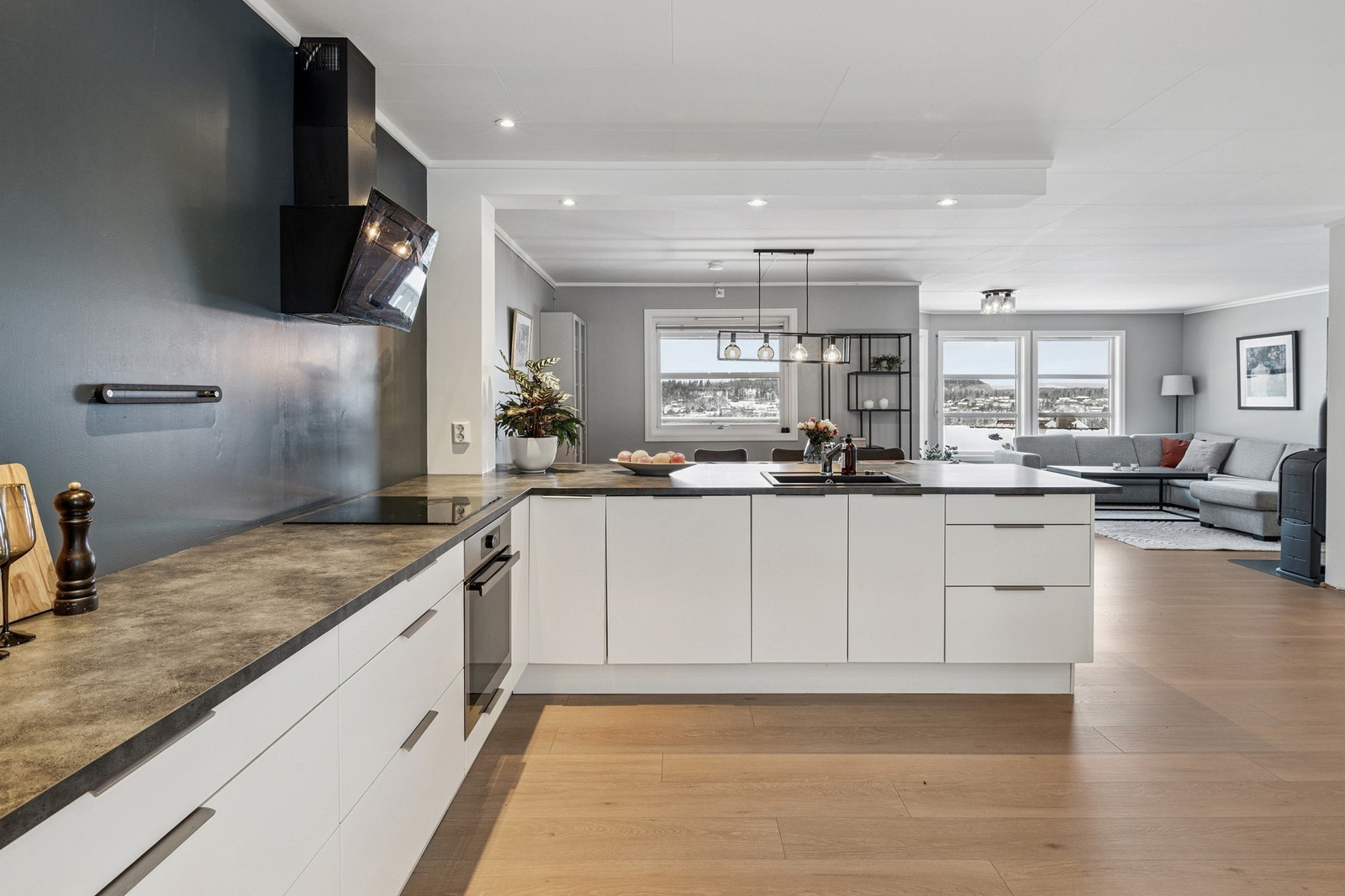 Integrerte hvitevarer Galleribilde