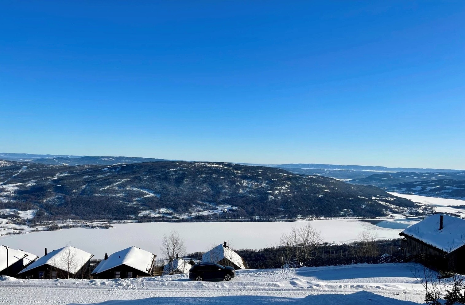 Selgers private bilde Galleribilde