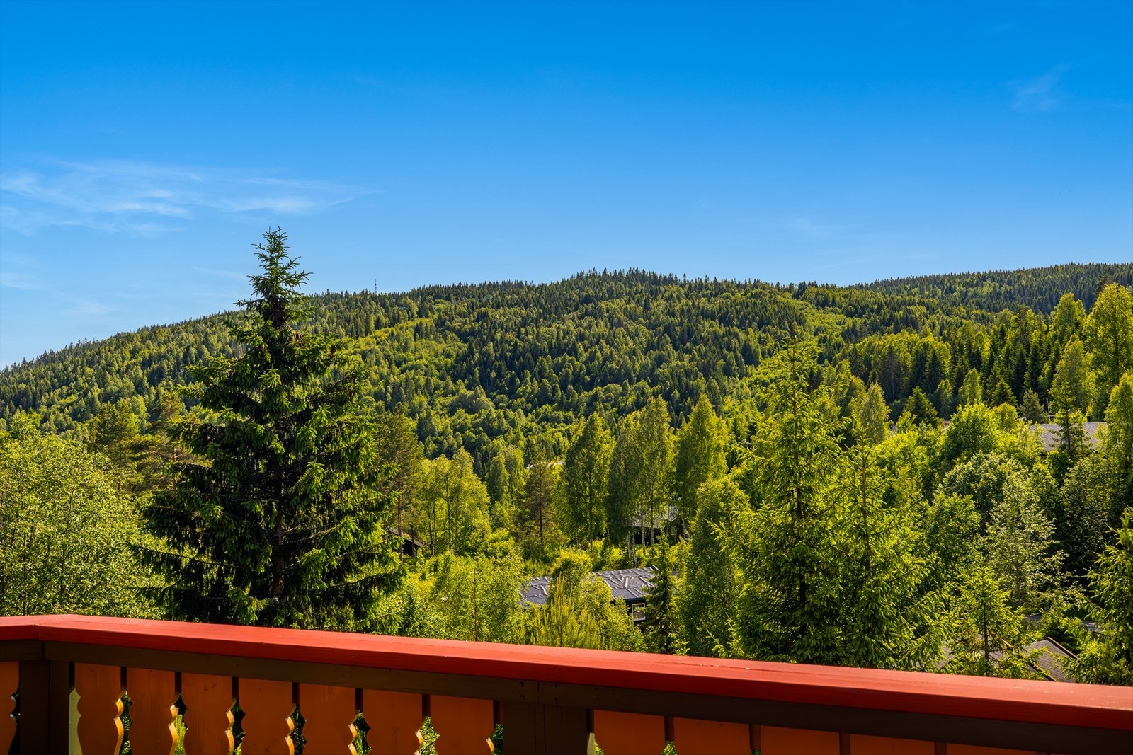 Utsikt fra terrassen Galleribilde