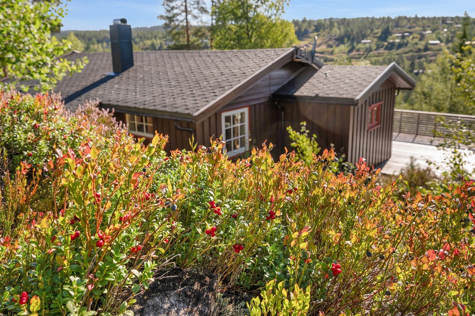 Flott tomt tett på naturskjønne omgivelser. Galleribilde