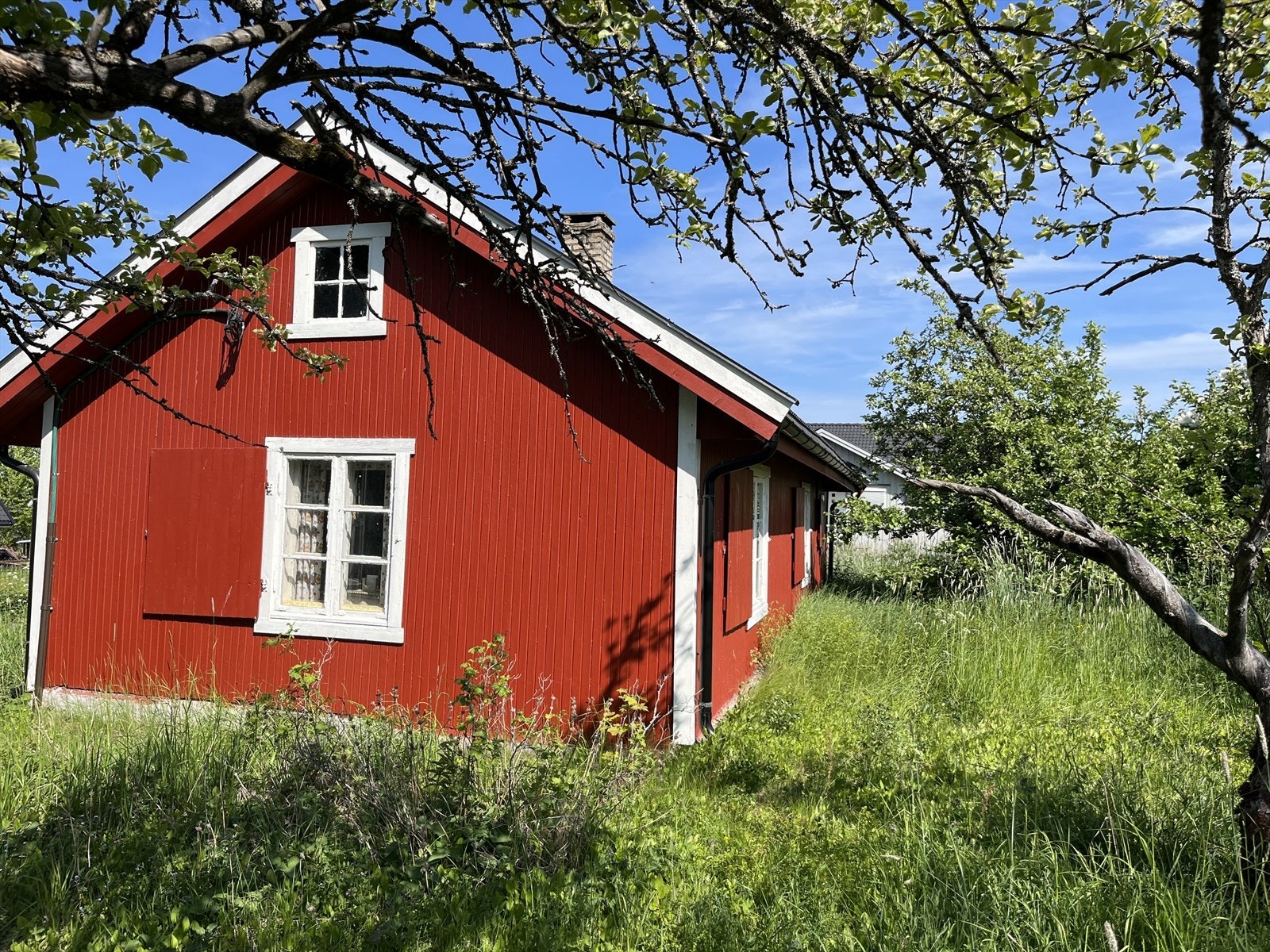 Tomten er opparbeidet med plen og beplantning, og ligger i et svakt skrånende terreng. Galleribilde