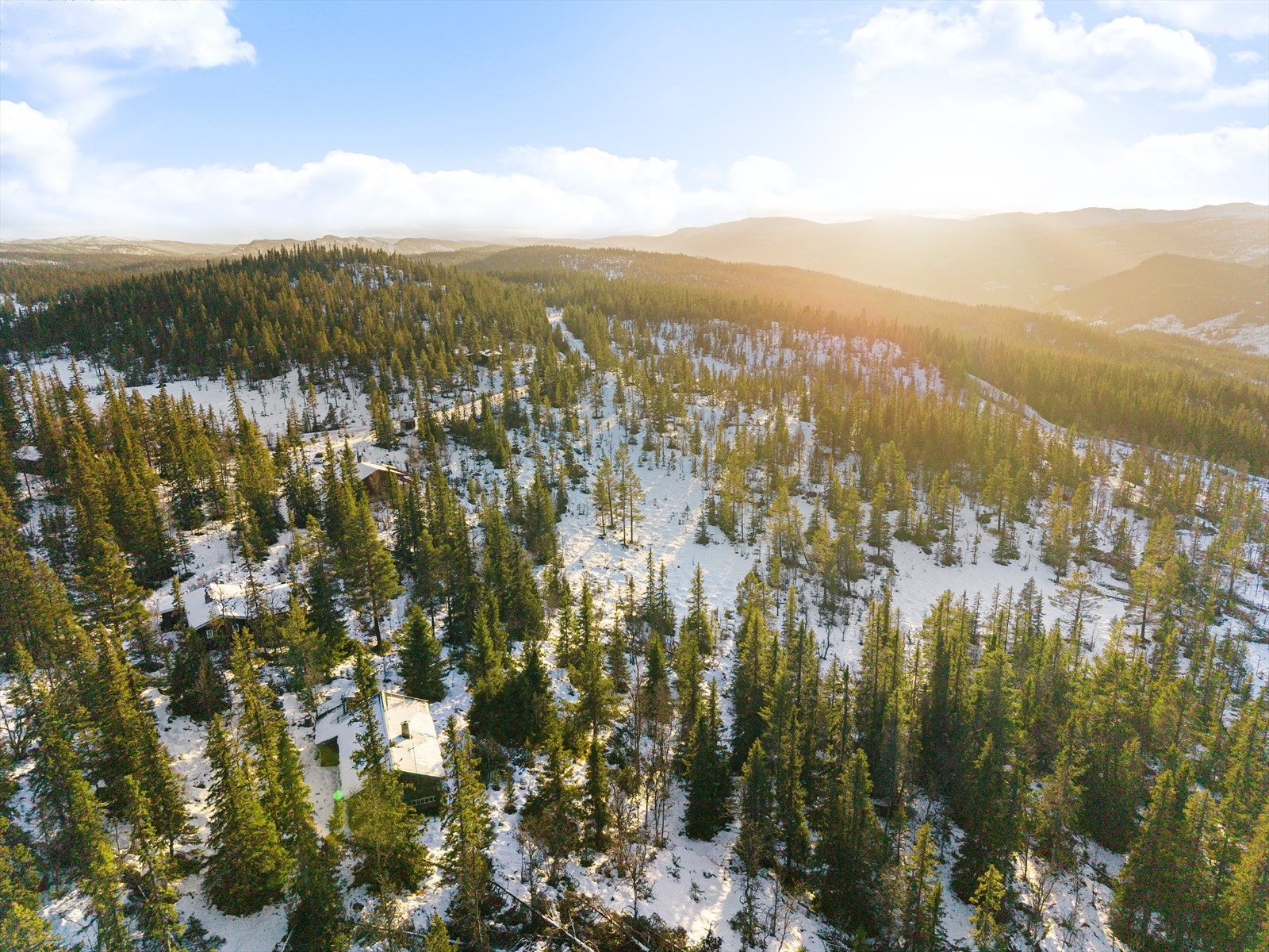 Det er ca. 100 meter med sti fra vei og inn til hytta. Galleribilde
