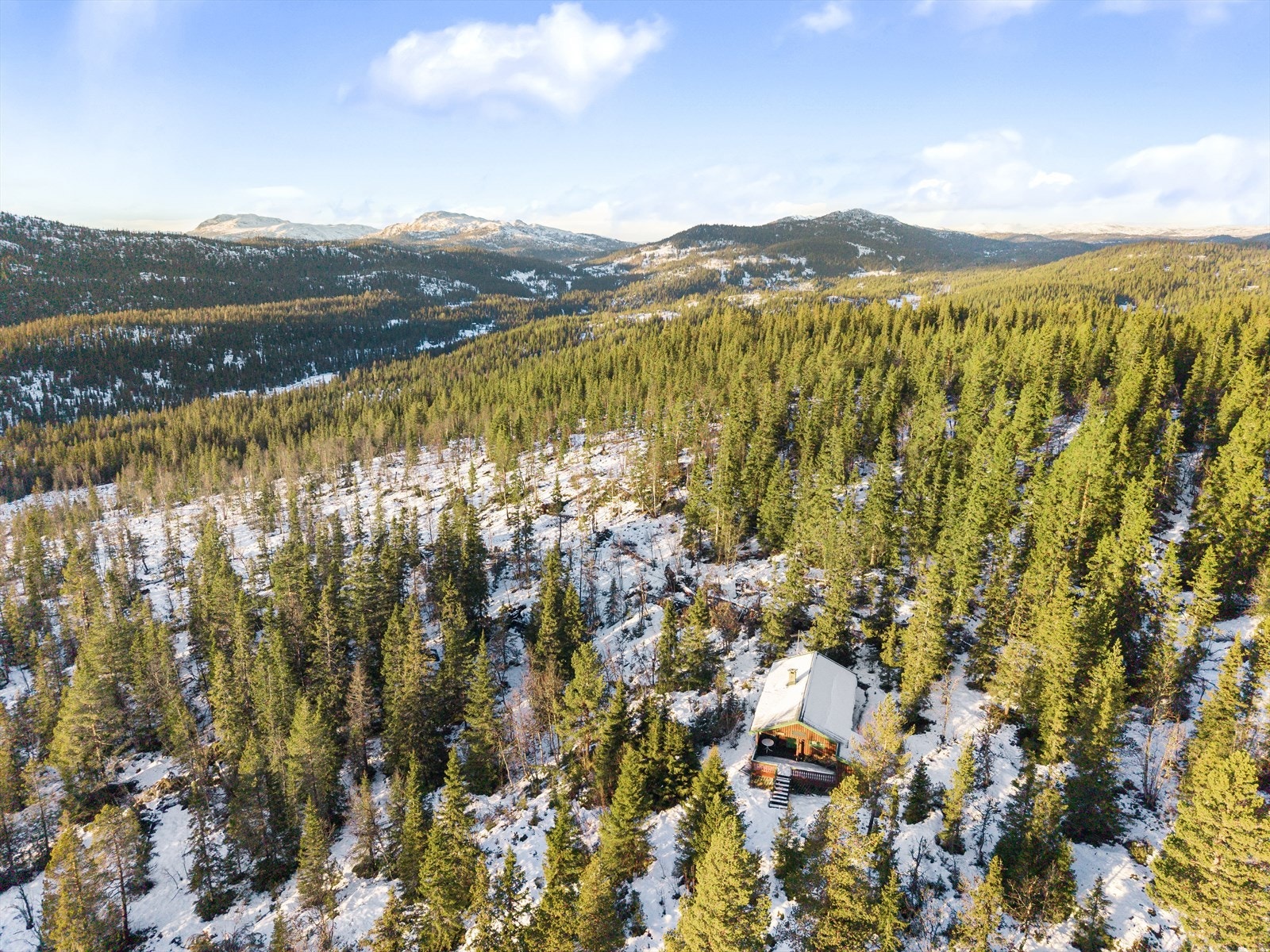 Hytta ligger i et område med lite og spredt hyttebebyggelse. Galleribilde