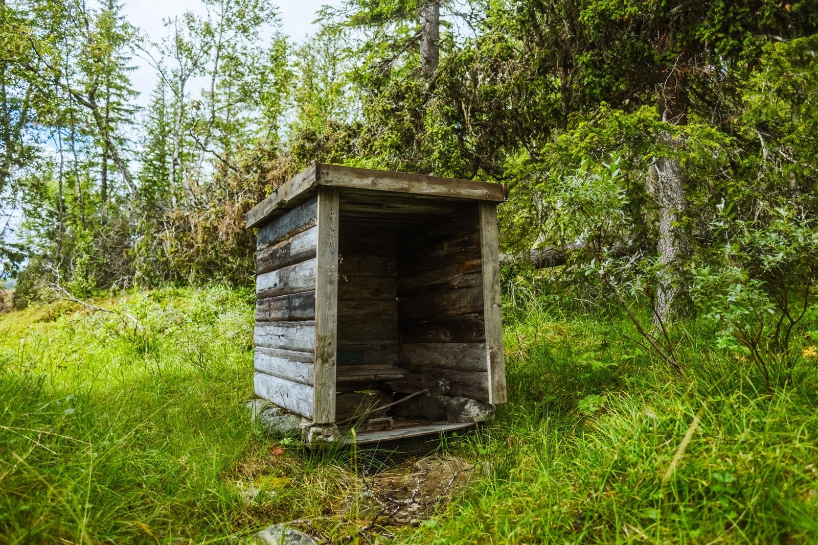 Private bilder. Galleribilde