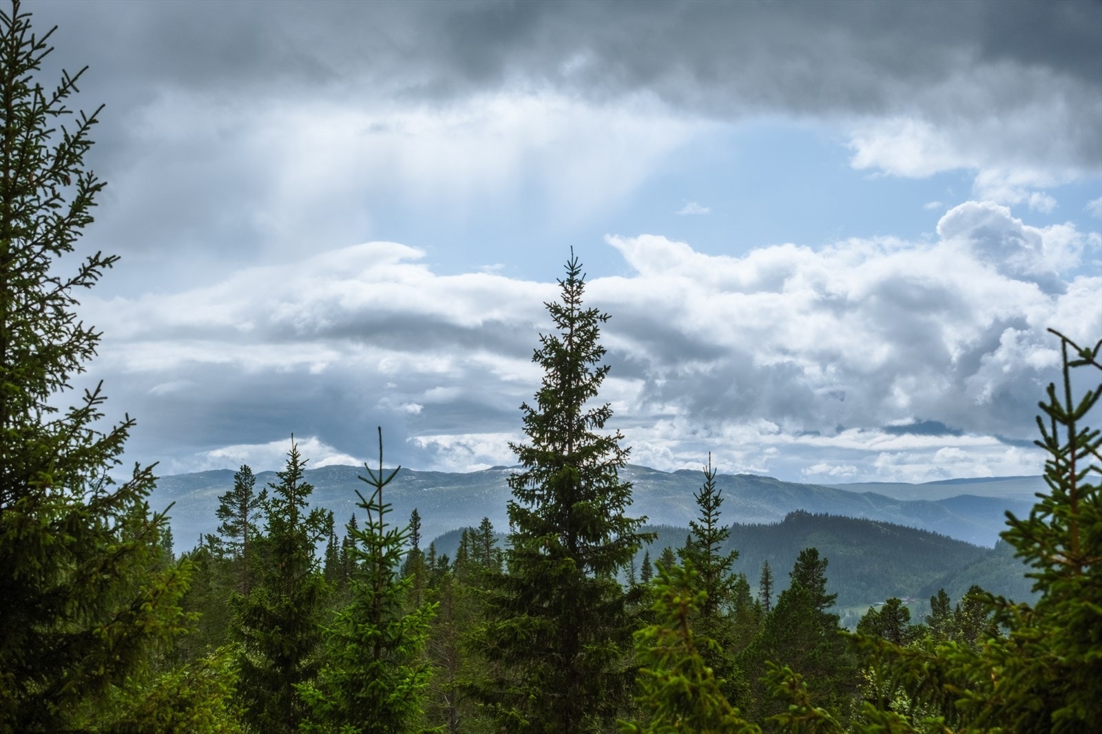 Privat bilde av den fantastiske utsikten. Galleribilde
