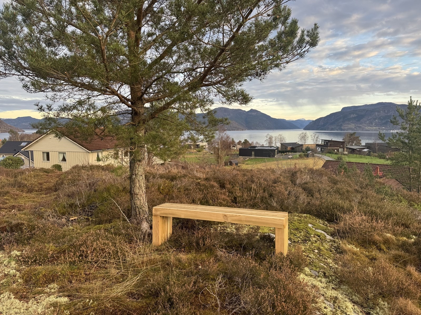 Privat bilde Galleribilde