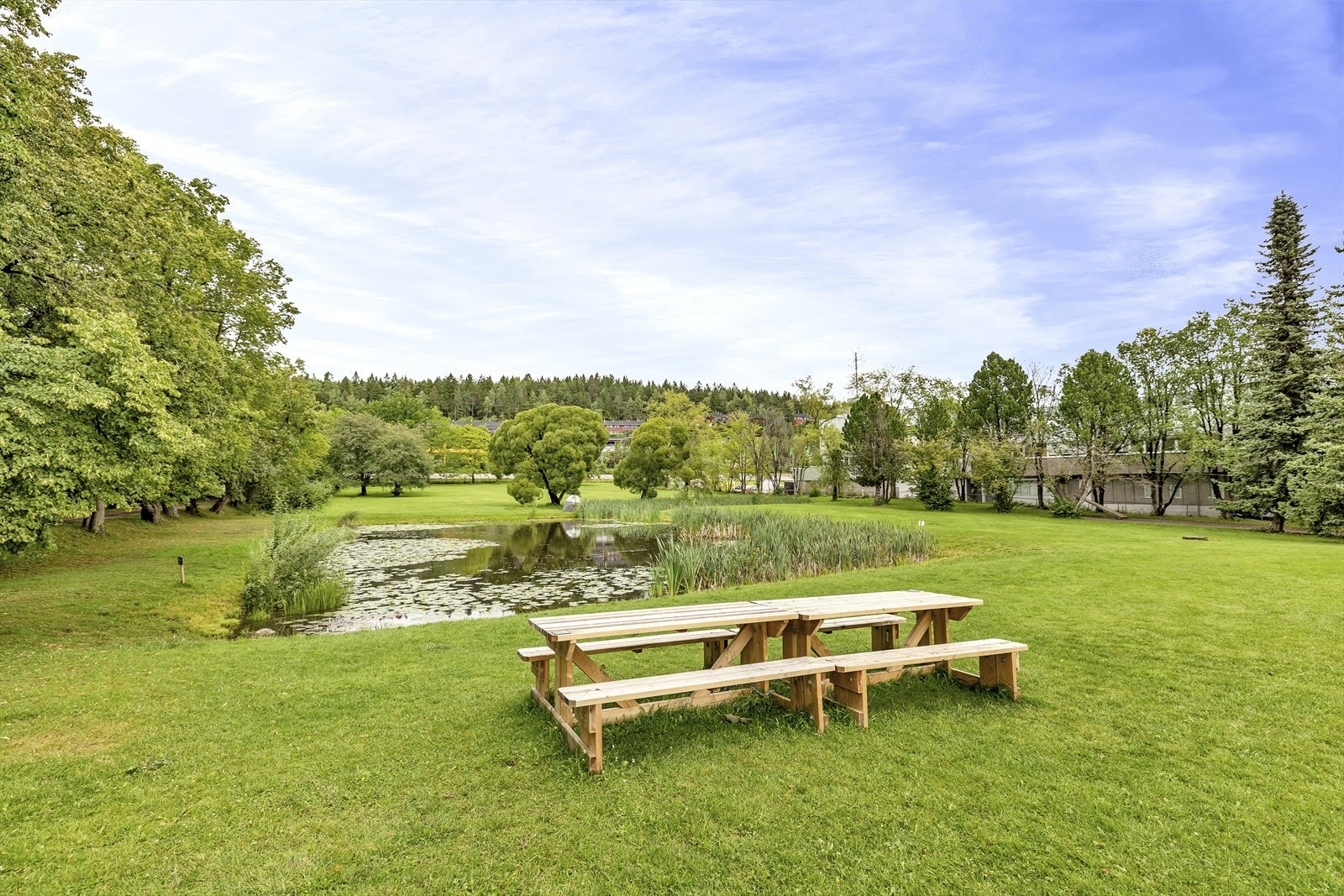 Hageanlegget er åpent for publikum hver dag hele året. Galleribilde