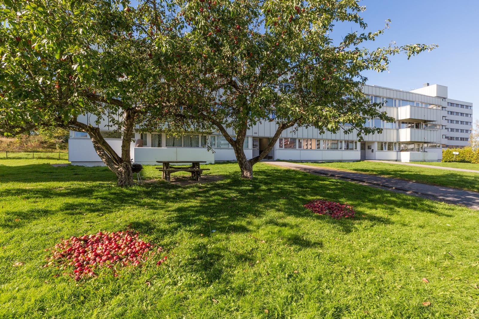 Gård 3 Galleribilde