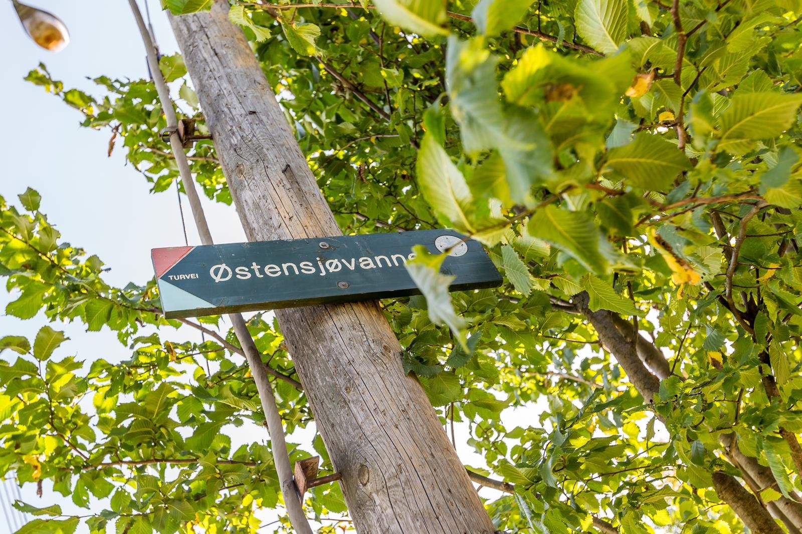 Få minutters gange til Østensjøvannet og Østmarka med flott dyre- og fugleliv, turveier, lysløyper, og bade- og fiskevann. Galleribilde