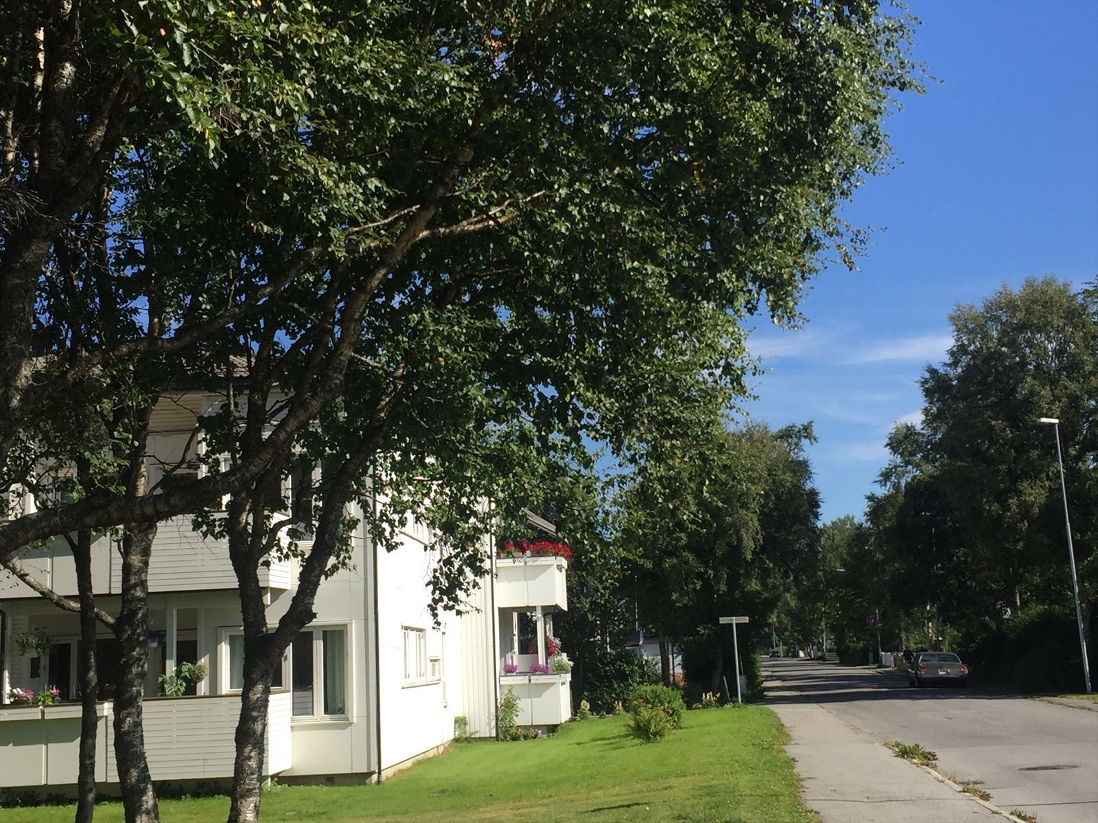 Privat foto Galleribilde