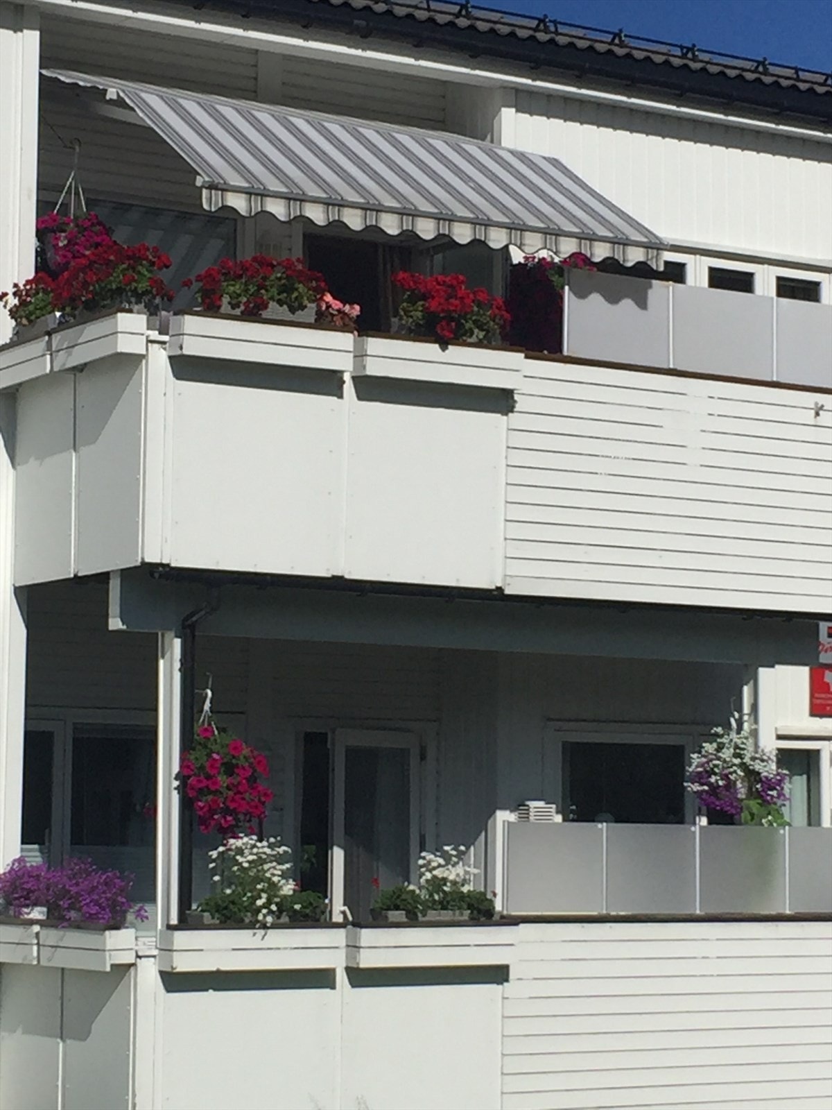 Privat foto Galleribilde