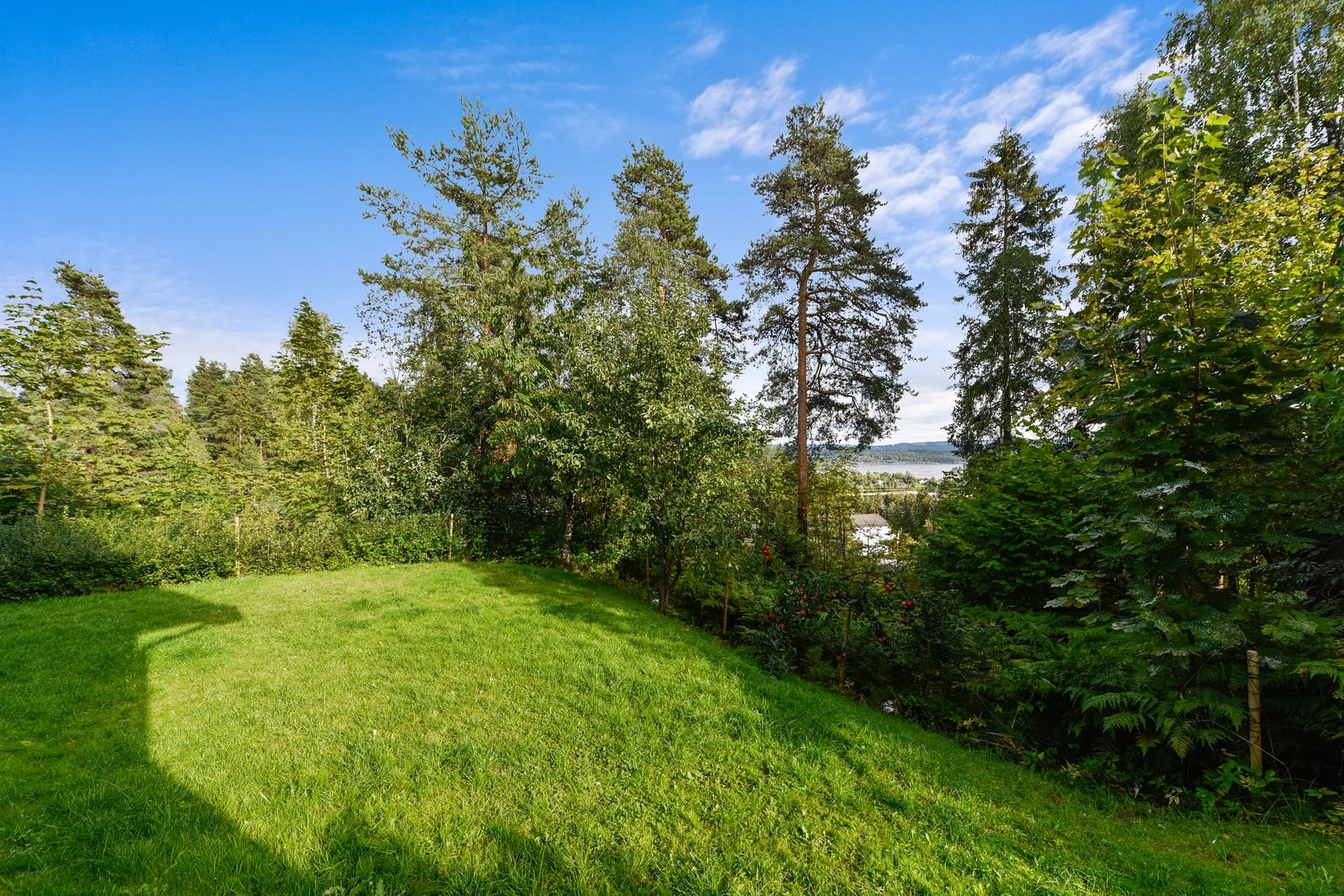 Hage med litt utsikt (mer nå, da mange trær er tatt ned) Galleribilde