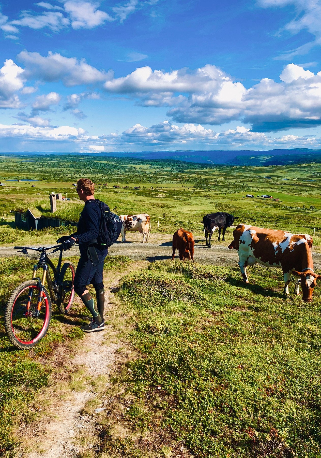 På Torpoåsen er det aktiv stølsdrift. Galleribilde