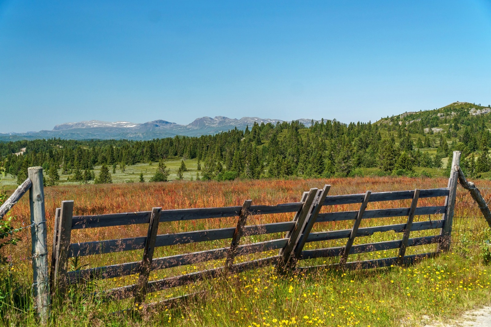 På aal52.no får man turtips på bl.a. Torpo med turskildring, kart og høydeprofil. Flere av turene er med i vandreprogrammet "10 turfavorittar i Ål". Galleribilde