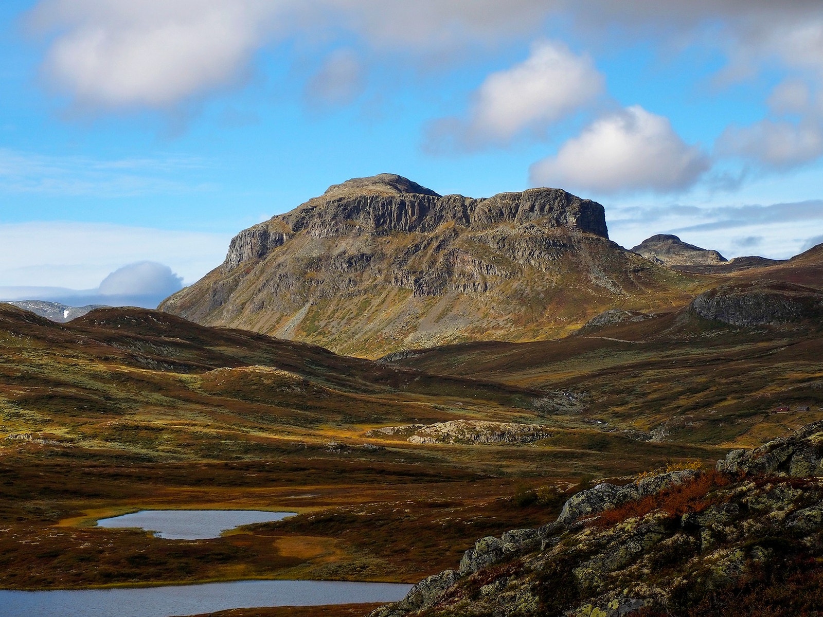 Lauvdalsbrea. Galleribilde