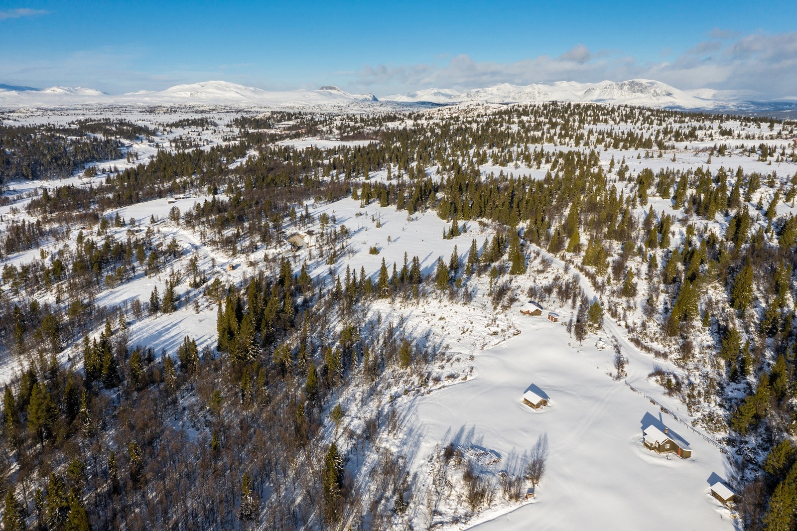 Nærområdet består av et vilt og vakkert terreng med snaufjell og skog, multemyrer og fjellvann. Galleribilde