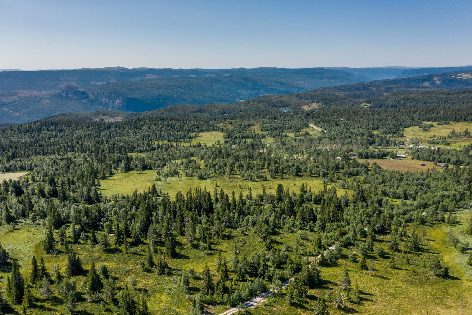 Fra juni til oktober arrangeres stolpejakten, som er et gratis og spennende aktivitetstilbud for alle. I denne perioden er det satt ut 78 stolper i Torpoområdet som hele familien kan jakte etter. Galleribilde