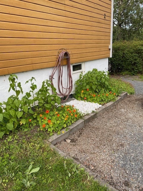 Langs husveggen er det anlagt et bed med prydplanter. Selgers privat bilder. Galleribilde