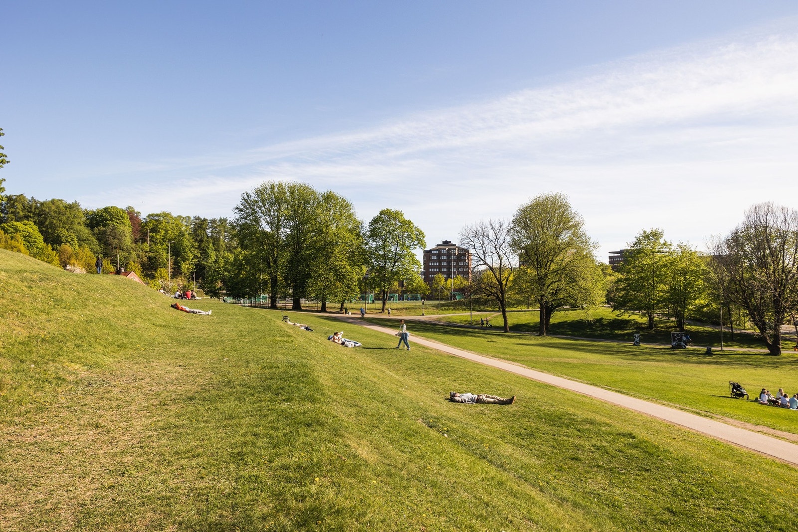 Tøyenparken 5 minutter gange unna Galleribilde