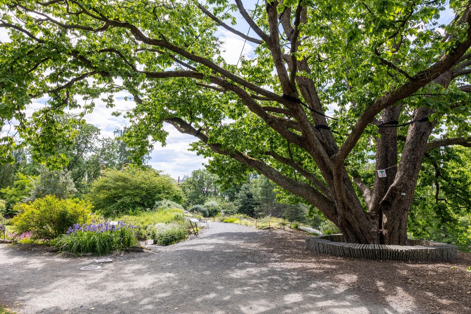 Like i nærheten finner du flere parkanlegg, deriblant Botanisk Hage Galleribilde