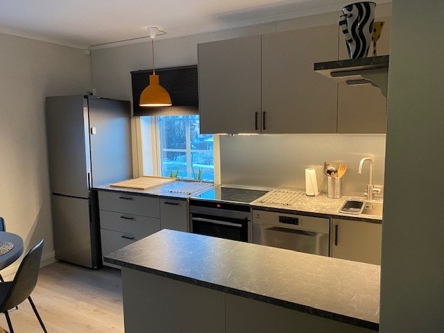 Kjøleskap, fryser, oppvaskmaskin og komfyr Galleribilde