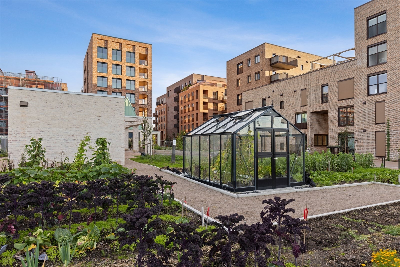 Midt i Nansenløkka ligger felleshagen, et frodig samlingspunkt for dyrking, nærmiljø og bærekraft. Her kan beboerne dyrke egne grønnsaker, bær og urter, og samtidig bli en del av et inkluderende fellesskap. Galleribilde