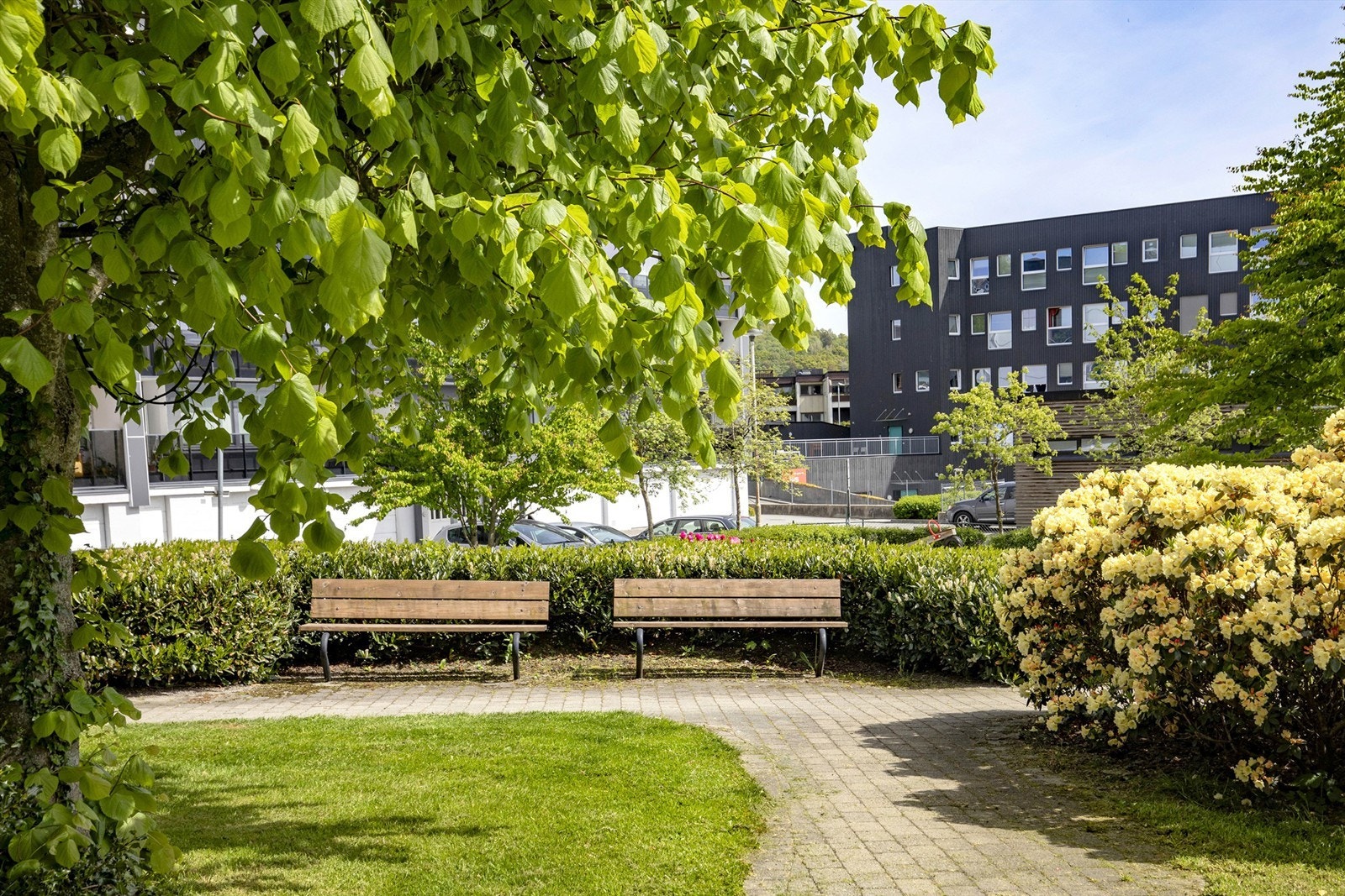 Uteområde Galleribilde