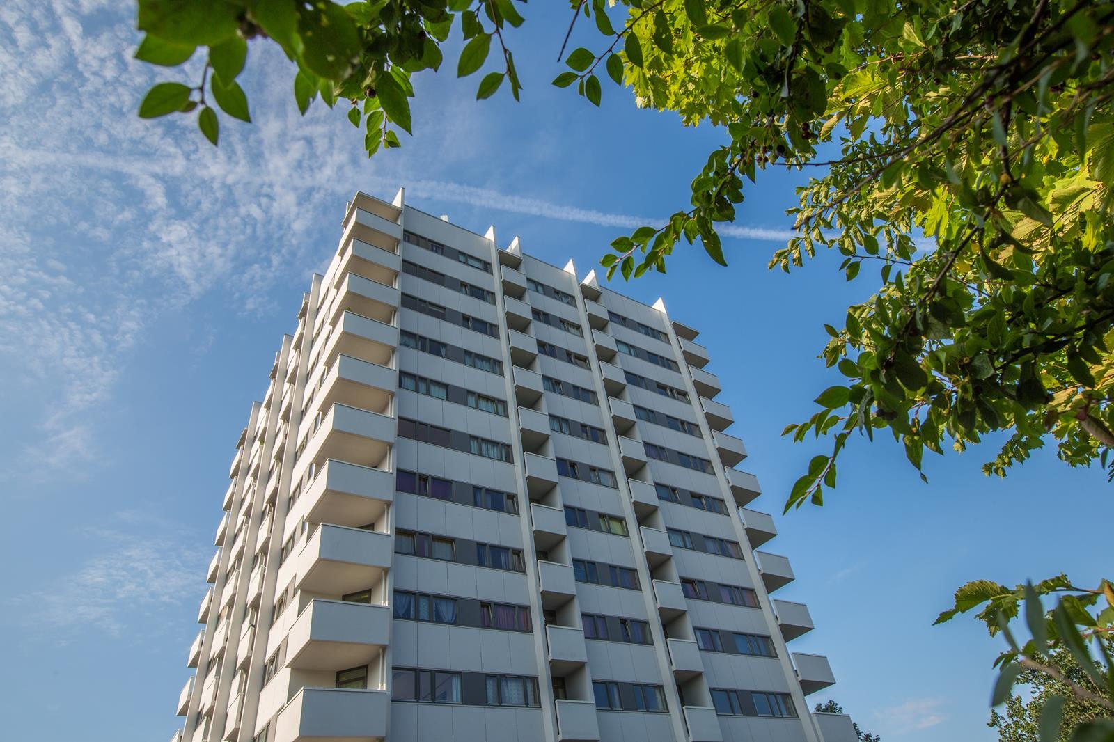 Gård 3 Galleribilde