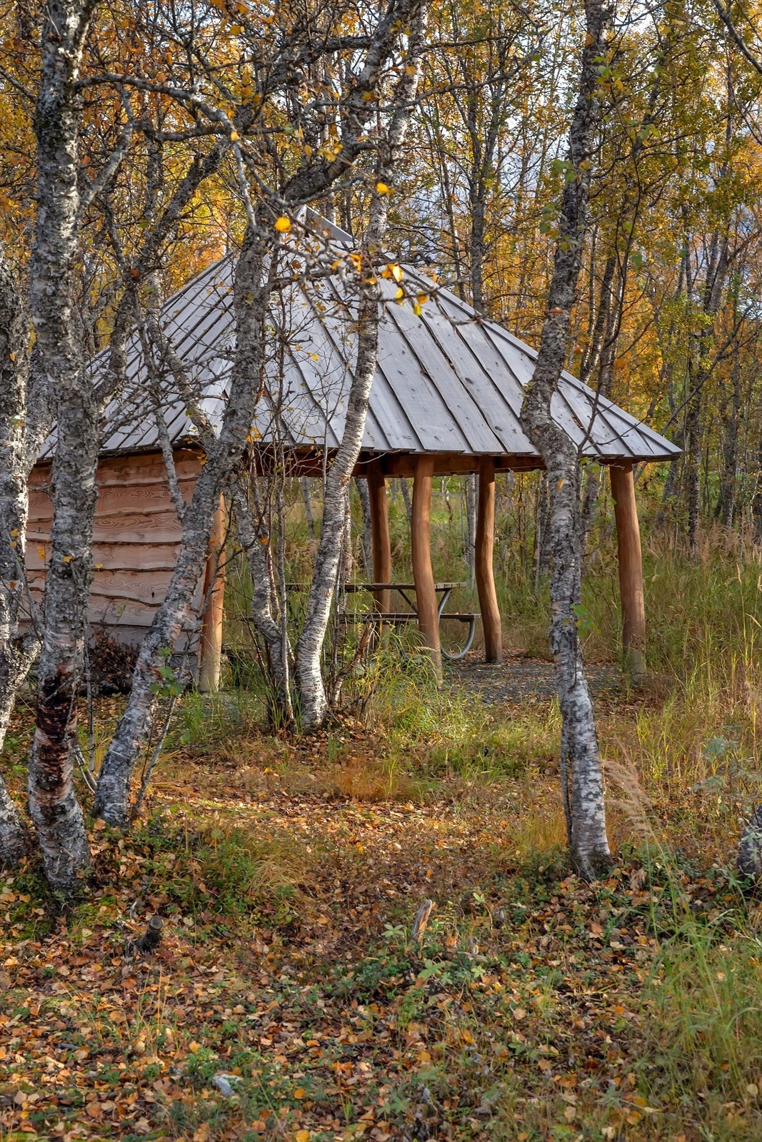 Fellesområder på Nordheim Galleribilde