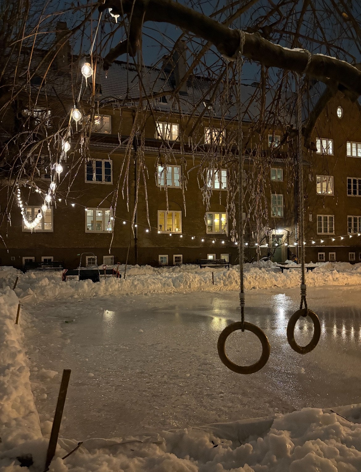 Etableres skøytebane om vinteren Galleribilde