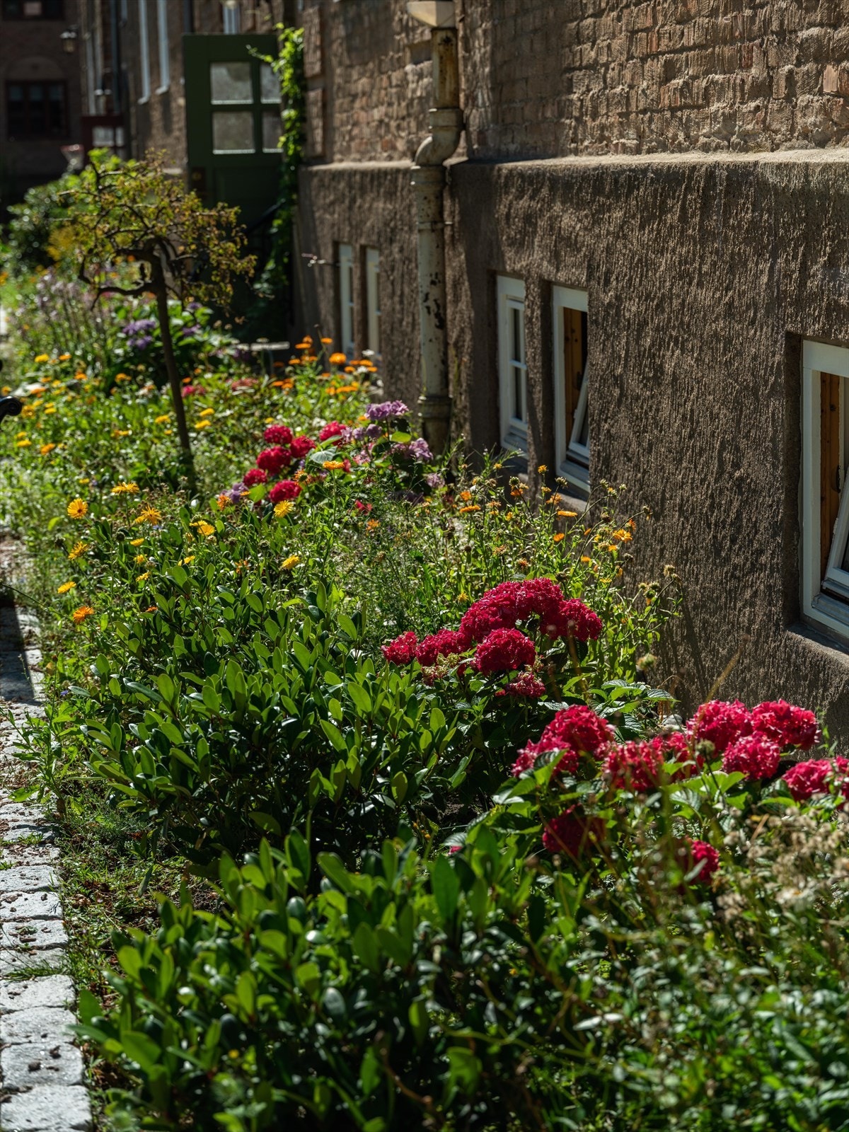 Her vil du trives i et fantastisk bomiljø Galleribilde