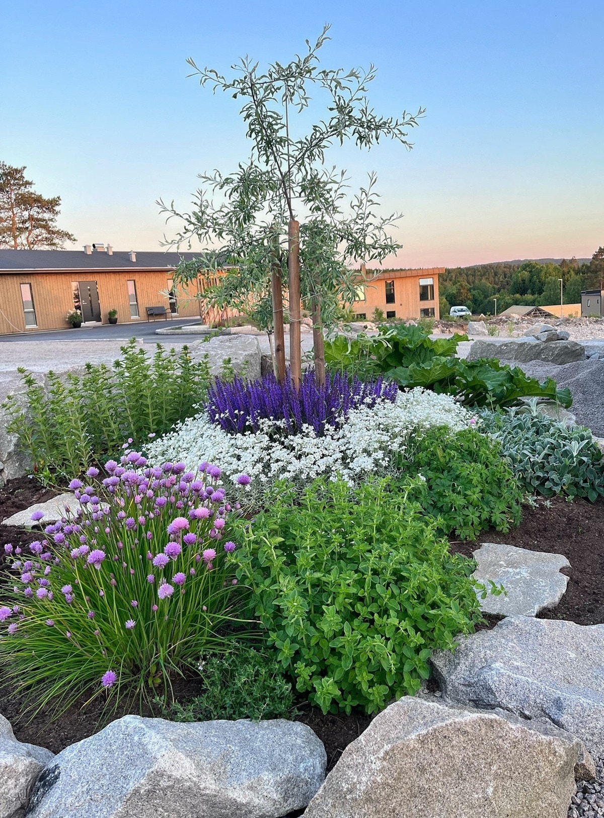 Det er flere bed med mange stauder. Private bilder fra selger. Galleribilde