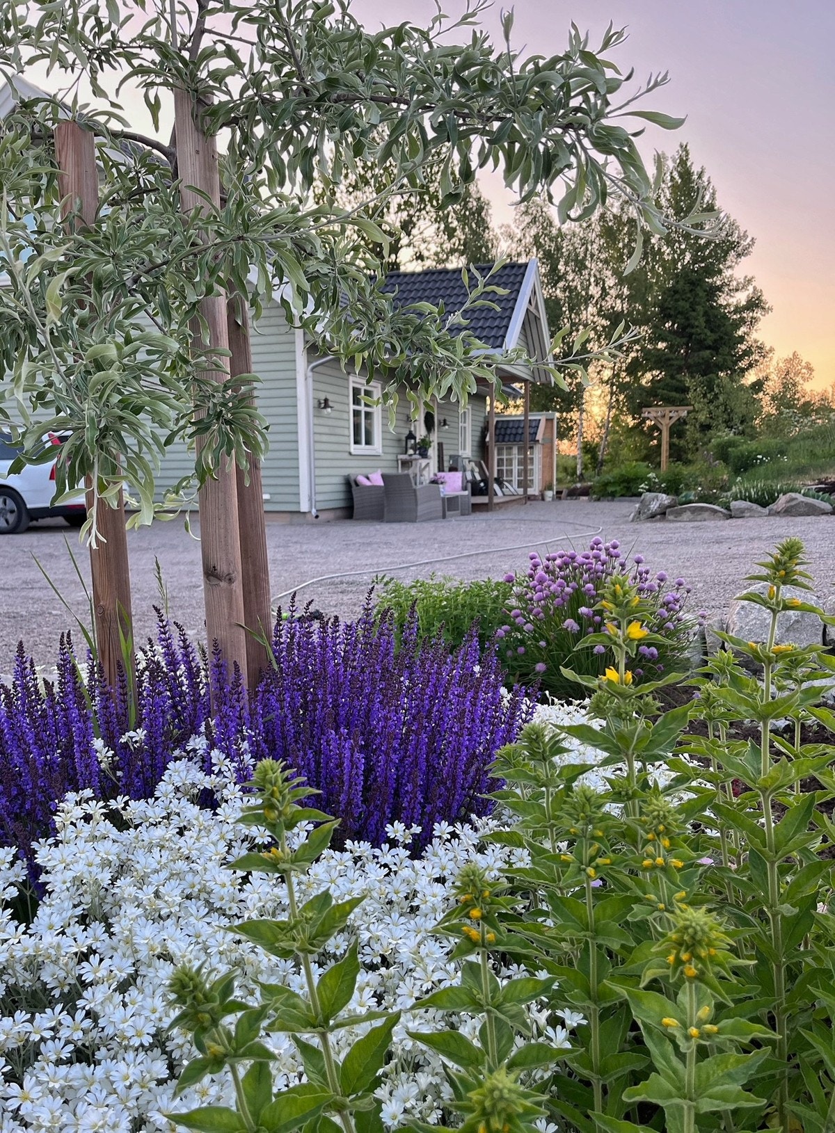 Private bilder. Galleribilde