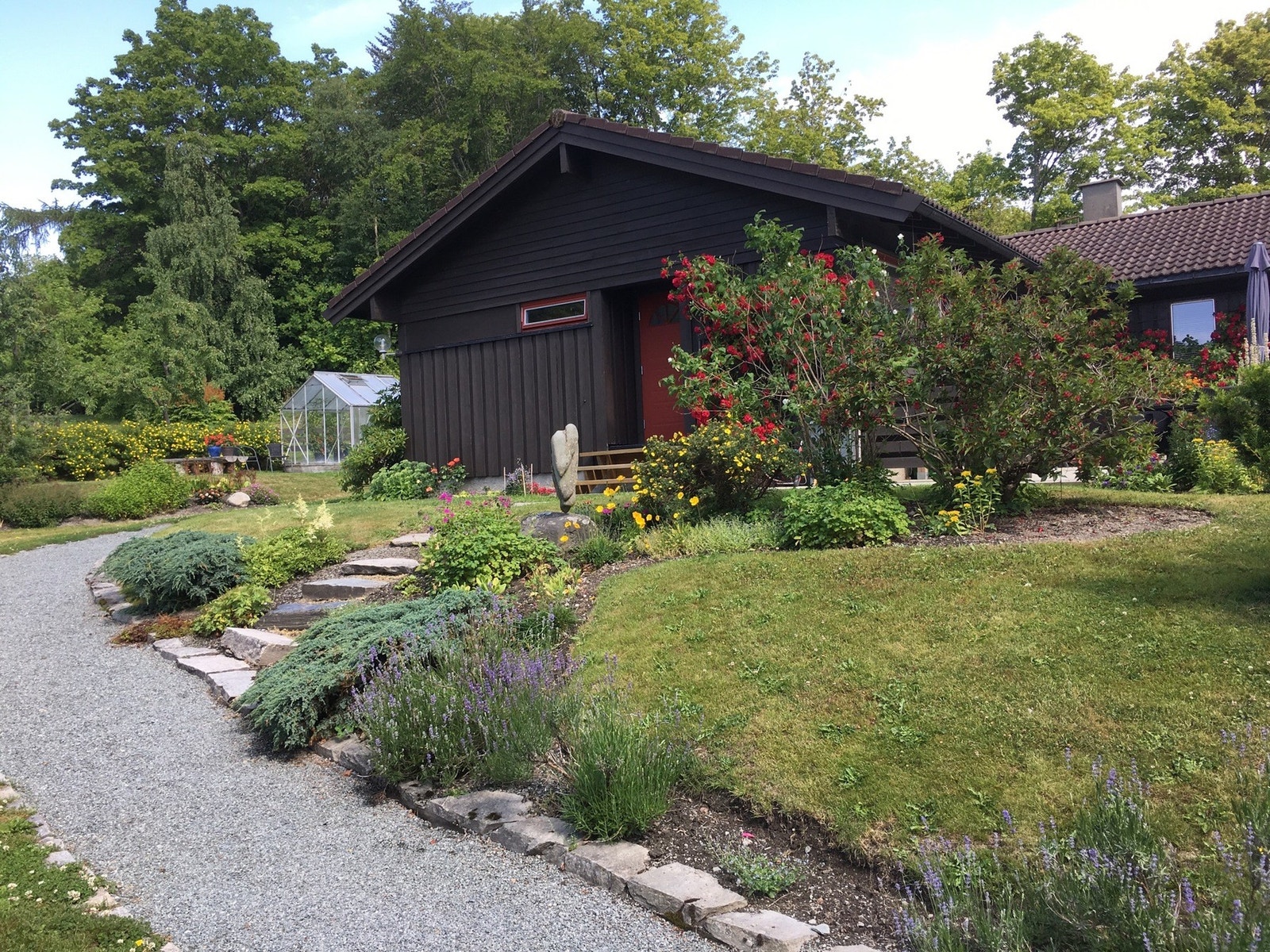 Bilde tatt av selger. Om sommeren blomstrer det i hagen. Galleribilde