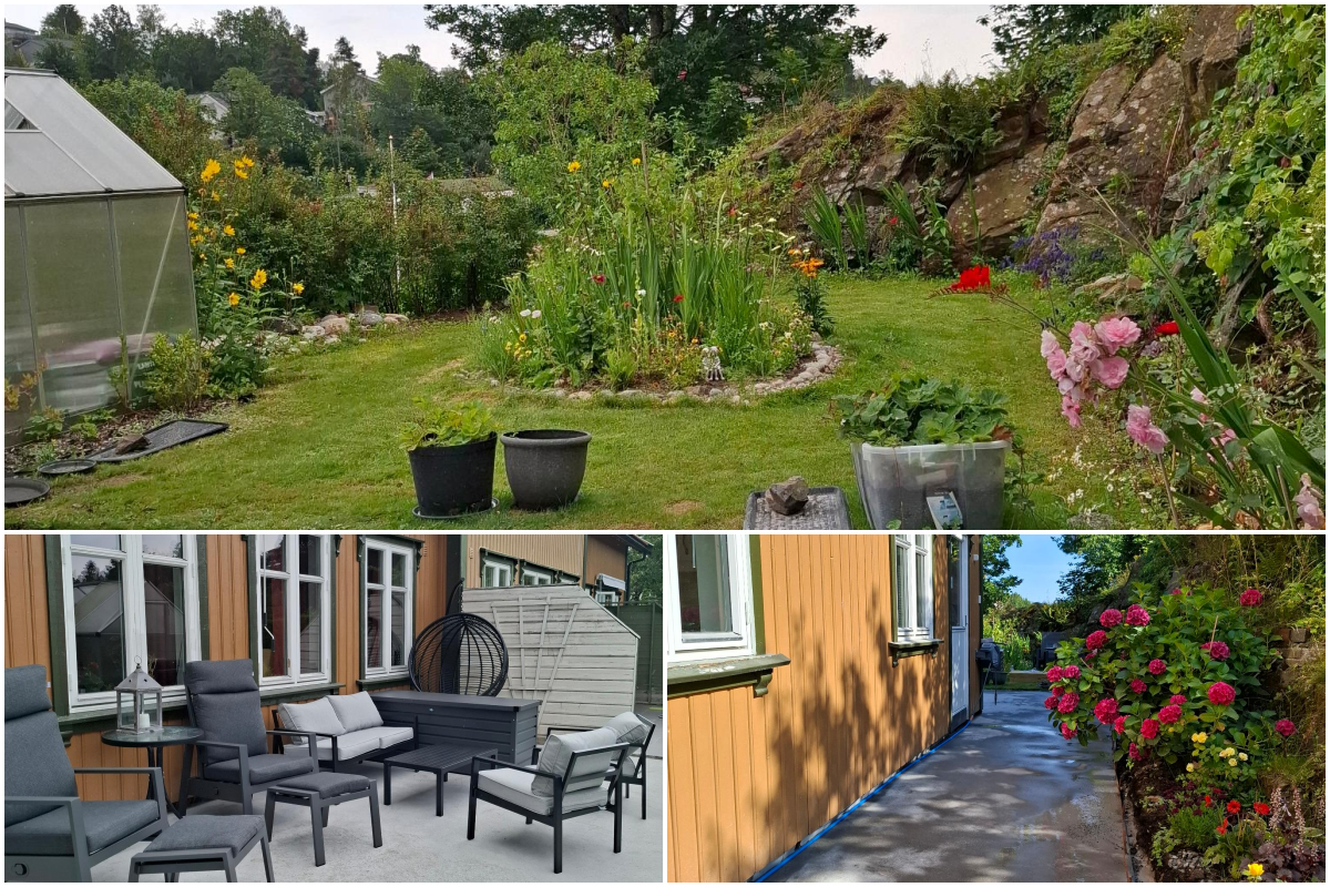 Uteområdet på sommerstid. Galleribilde