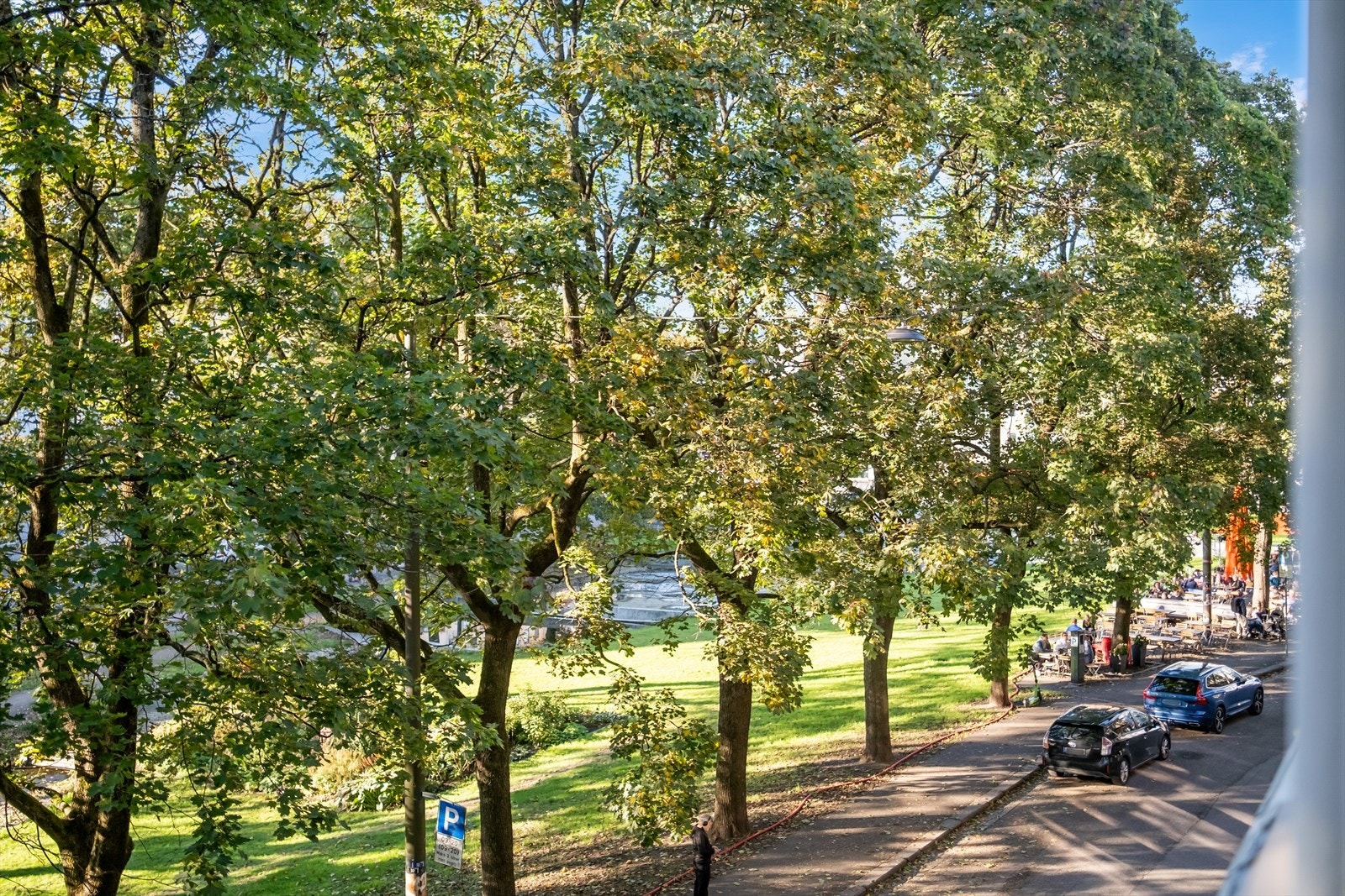 Grønt utsyn som skjermer godt. Galleribilde