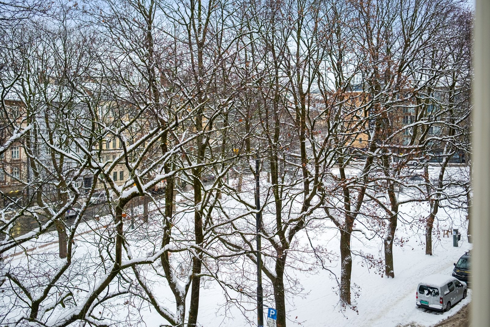 Utsyn fra stuen. Galleribilde