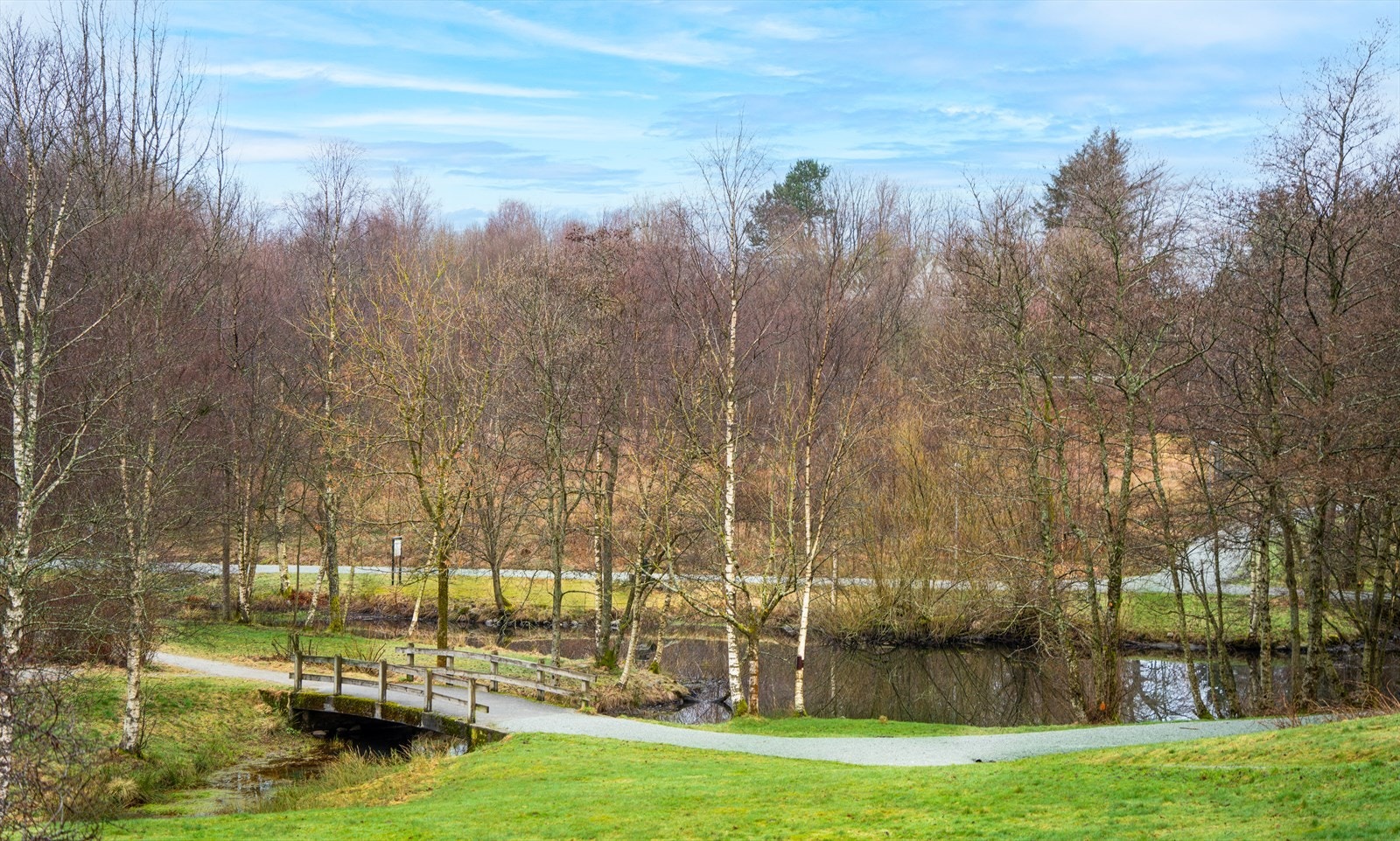 Nærområde Galleribilde