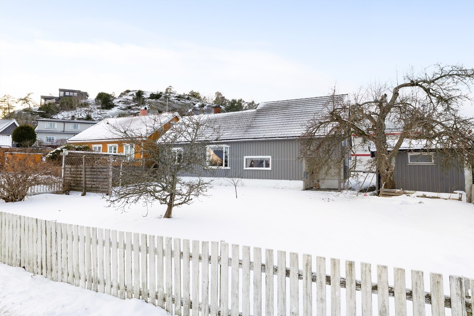 Romslig hage med noen frukttrær og port i gjerdet. Galleribilde