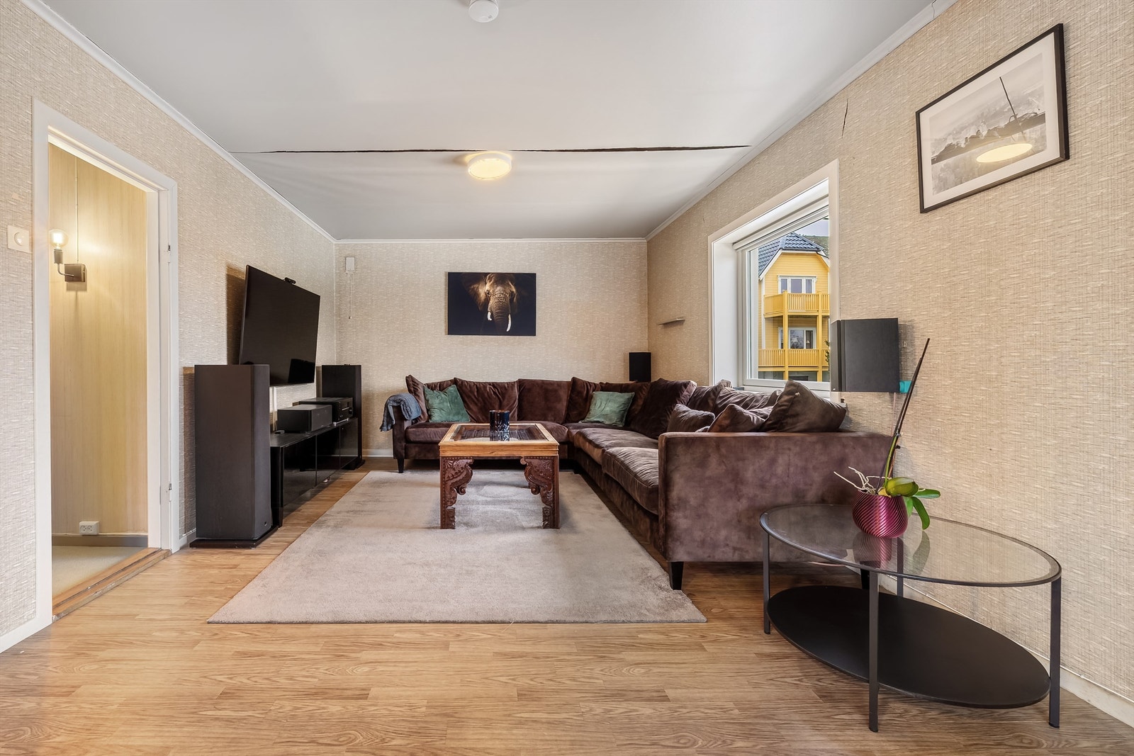 Tv-krok. Galleribilde