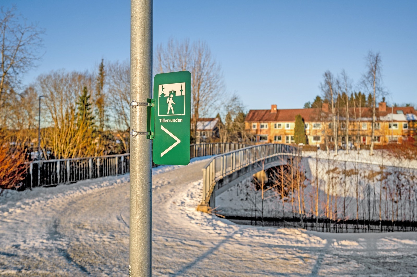Boligen ligger like ved Tiller-marka med fine turmuligheter både sommer og vinter. Galleribilde