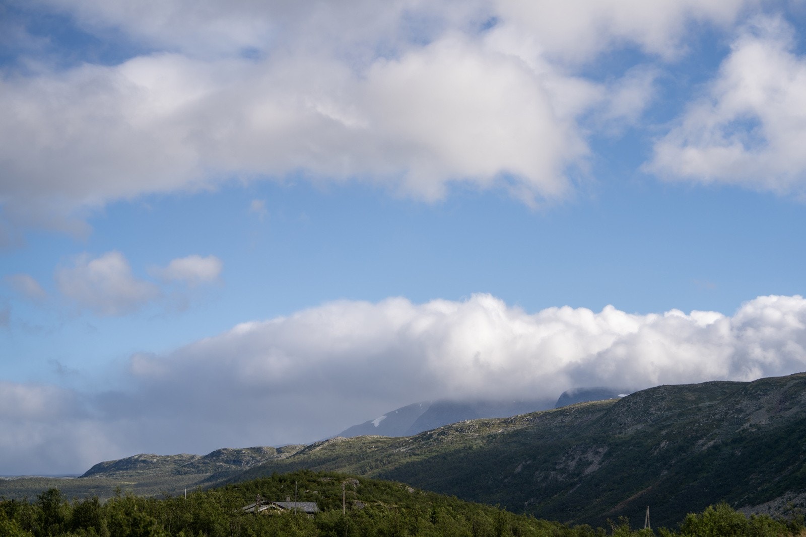 Fjellet kaller Galleribilde