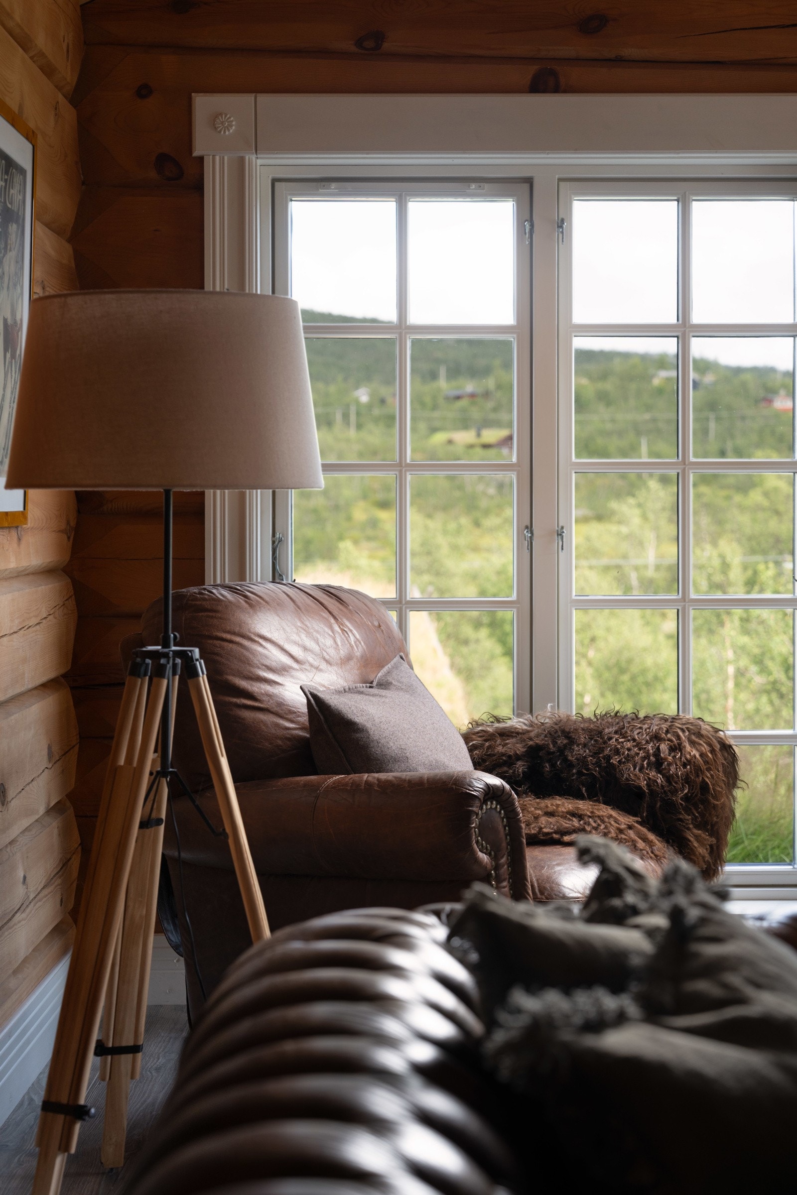 Nyt utsikten fra godstolen Galleribilde