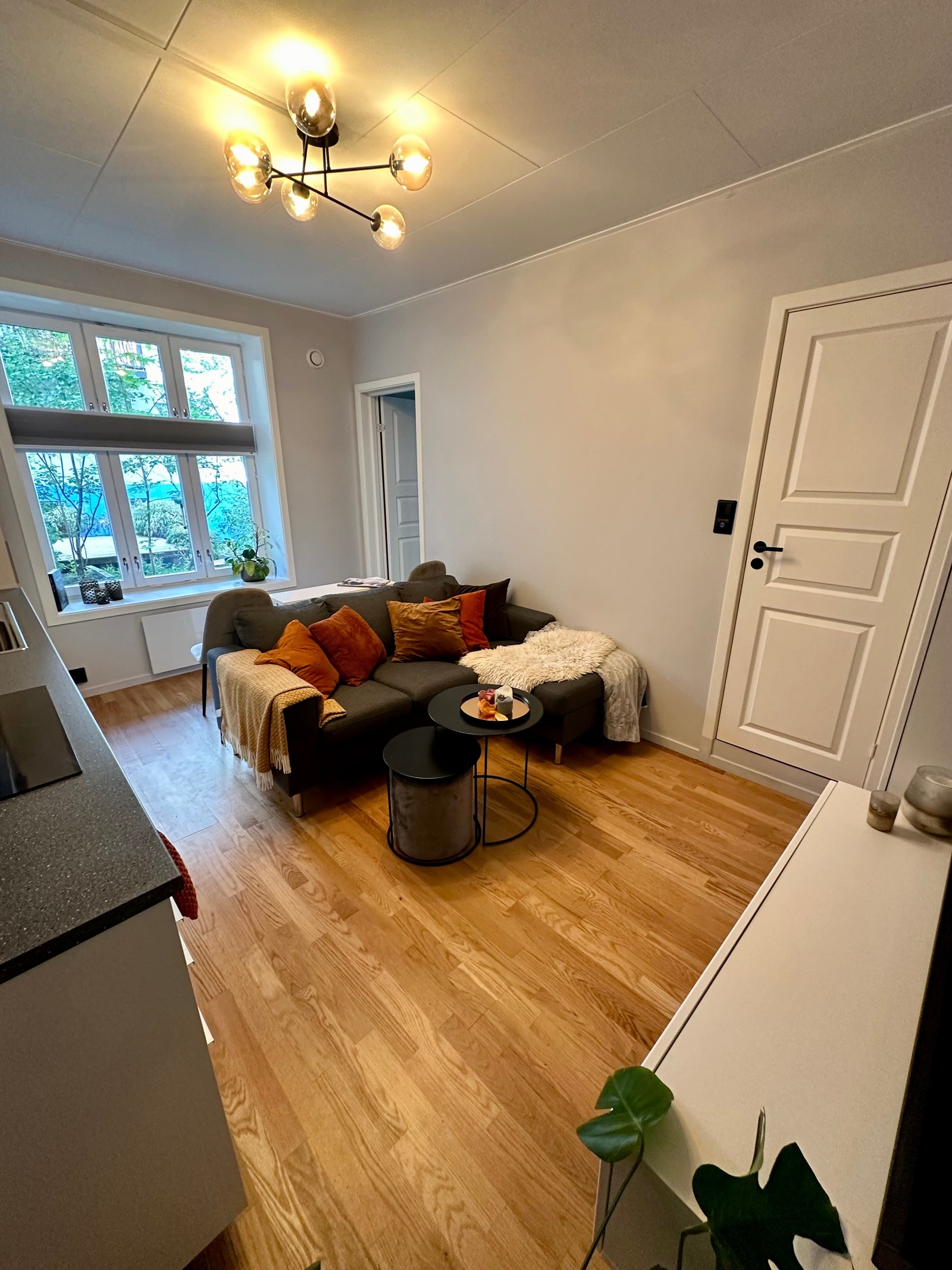 Stue og kjøkken Galleribilde