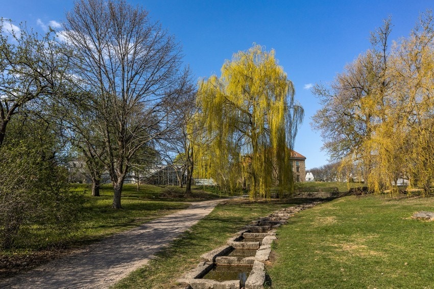 Botanisk hage rett rundt hjørnet Galleribilde