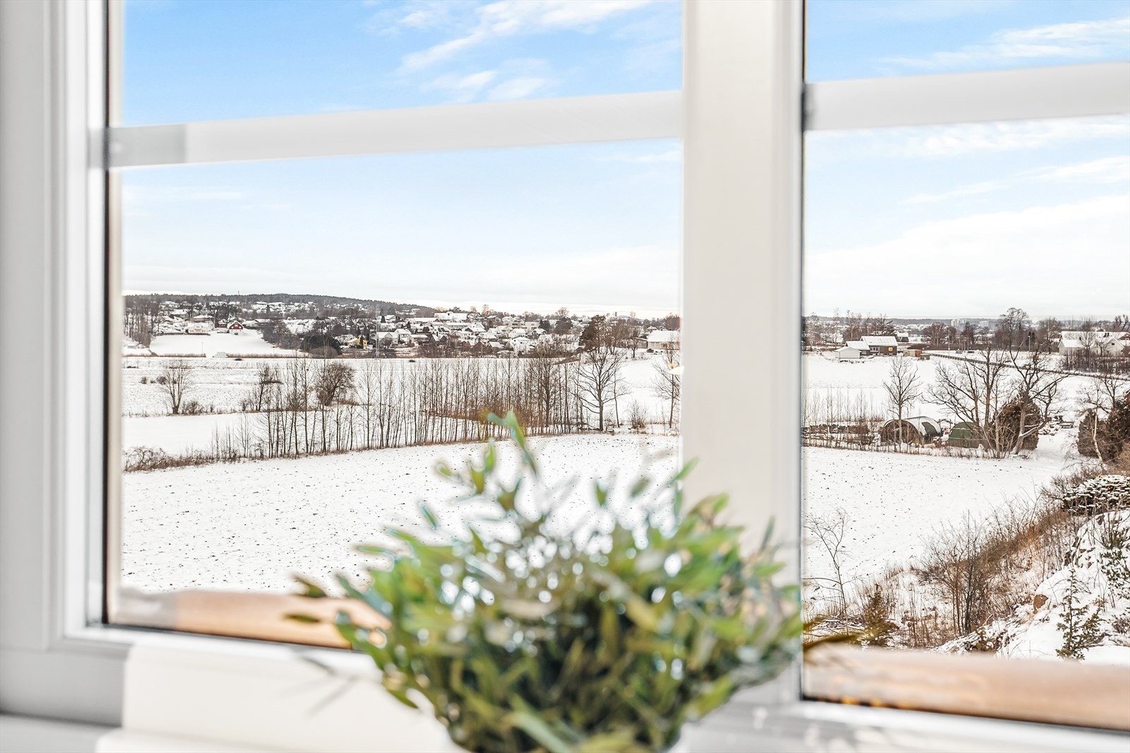 Fra boligen får du en super utsikt. Herfra kan du se Slottsfjellet. Galleribilde