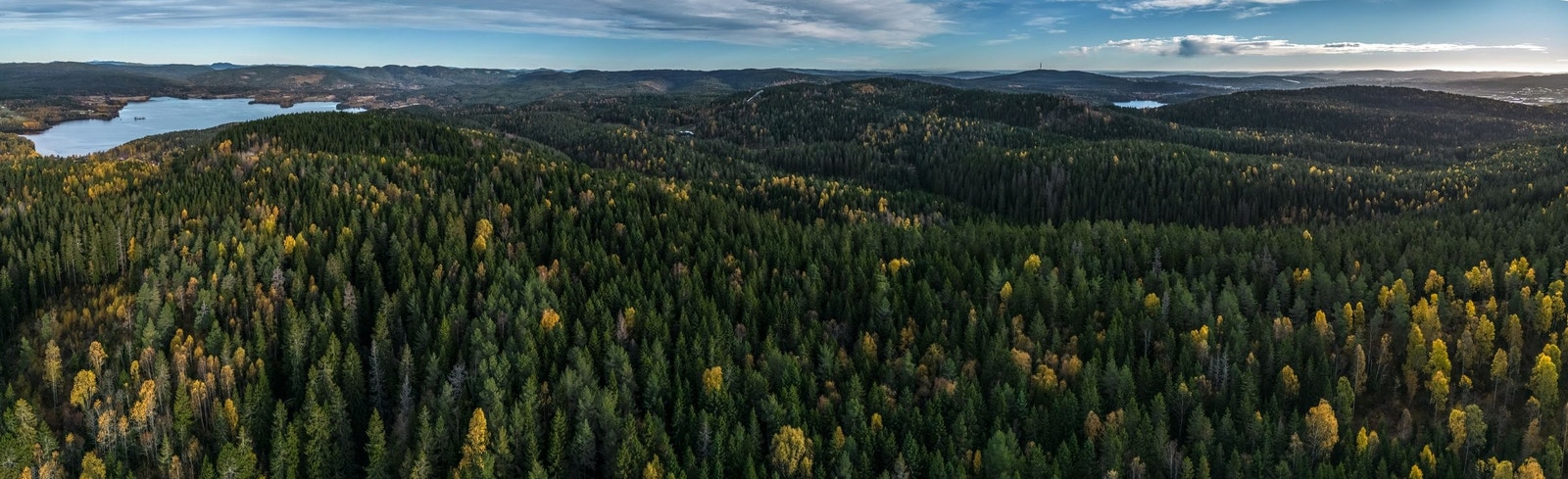 Østmarka med flotte tur- og friluftsmuligheter ligger rett i nærheten. Perfekt for turer, trening og naturopplevelser året rundt. Galleribilde