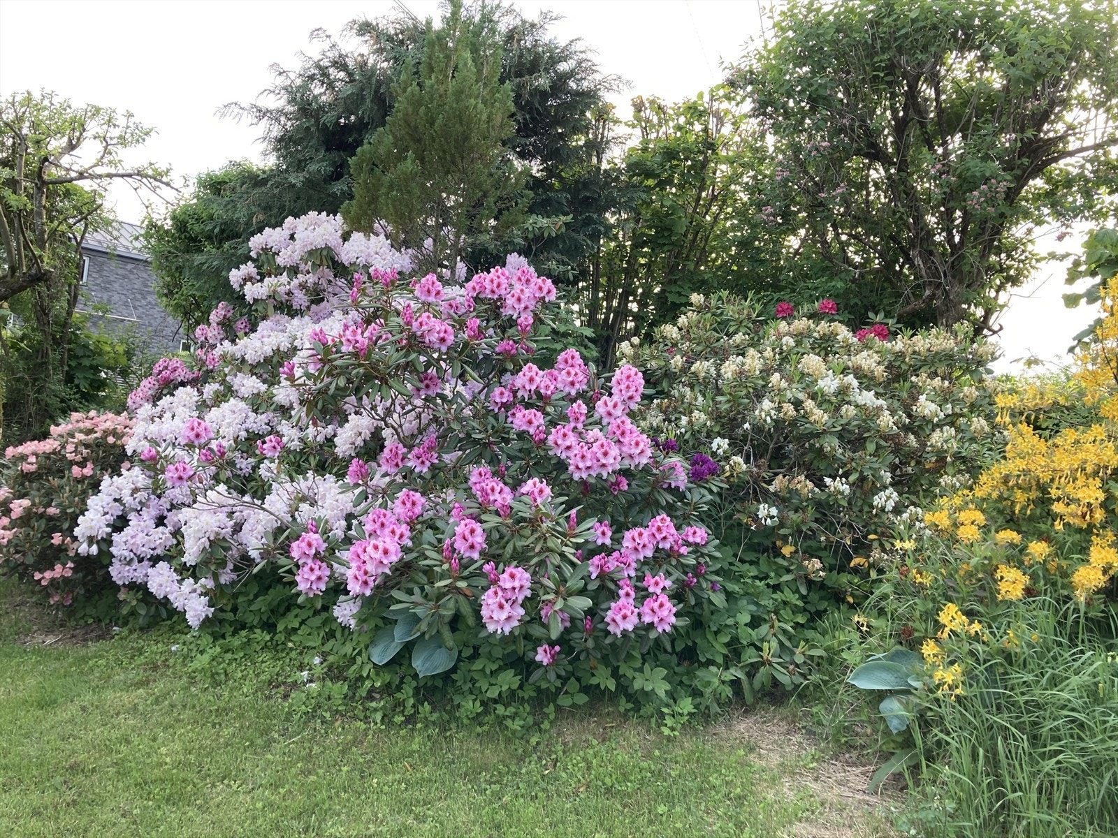 Frodig og grønt om sommeren - (Selgers egne bilder) Galleribilde