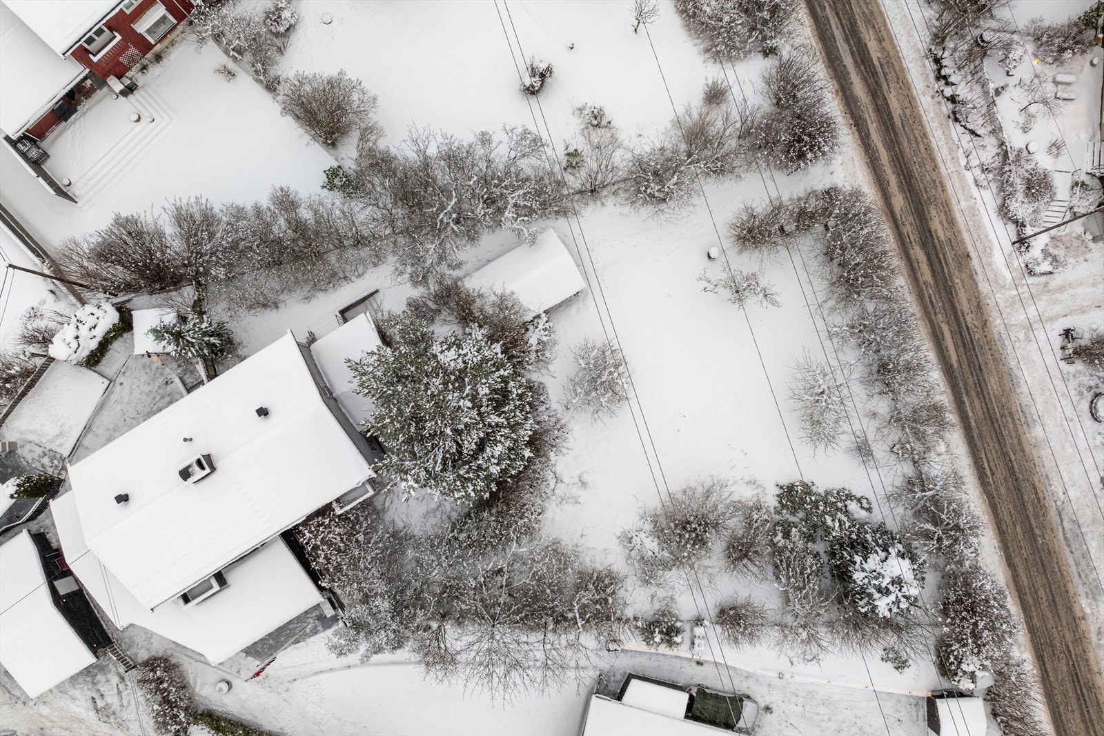 Barnevennlig og attraktivt område med stor tomt på 1 mål. Galleribilde
