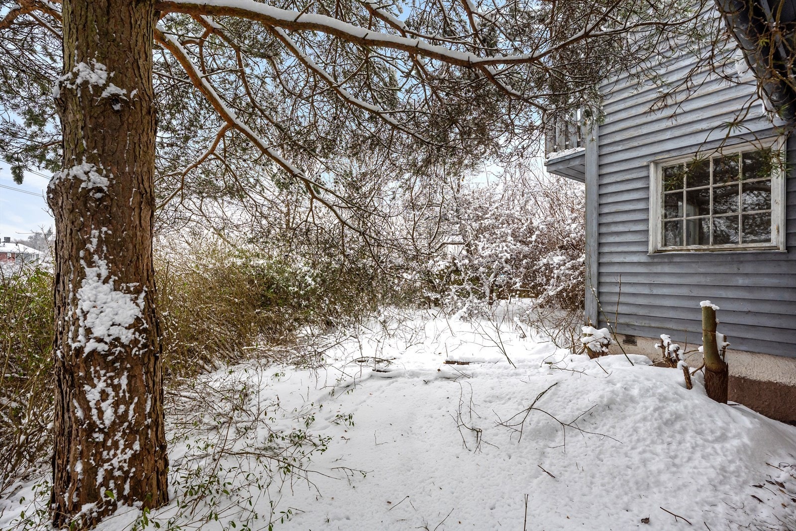 Dyrefaret 9 Galleribilde